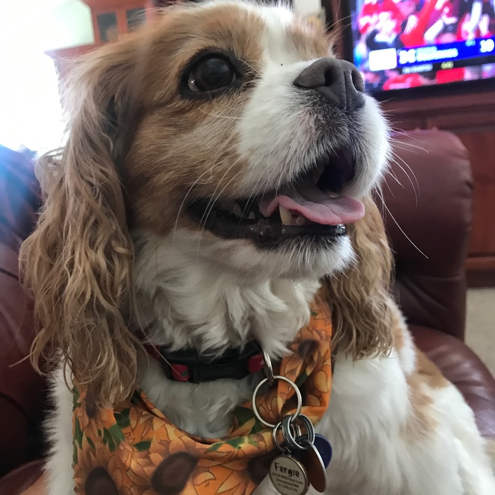 Meet your Posher, Kathleen